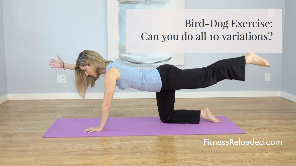 bird dog exercise instructions