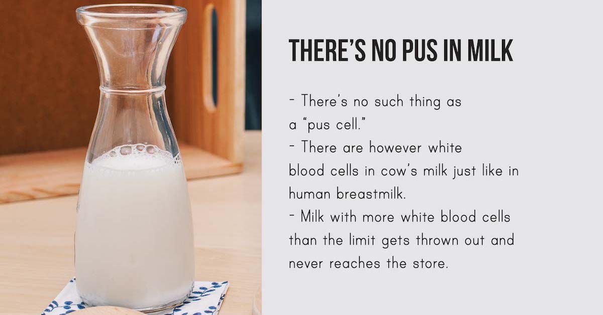 pus in milk