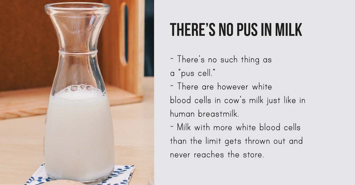 The Truth About Pus In Milk Fitness Reloaded