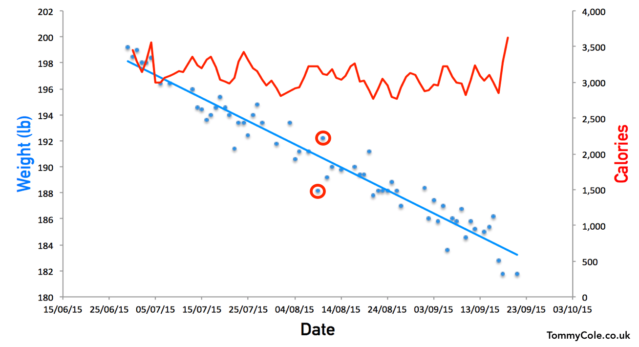 Body Composition: Which Numbers Matter?