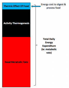 foods that speed up metabolism