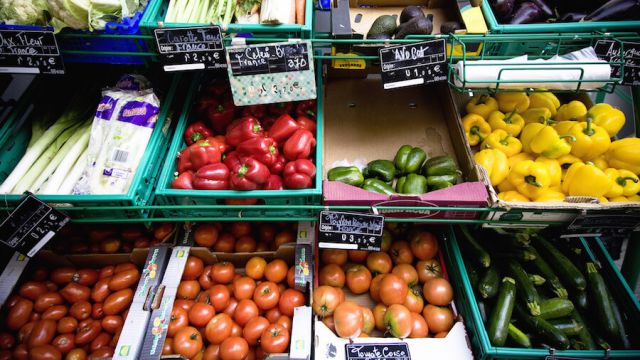organic vs conventional