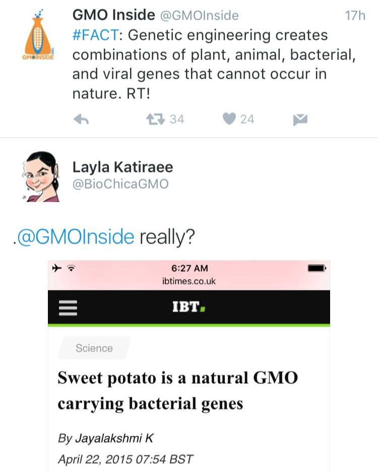 what is a gmo
