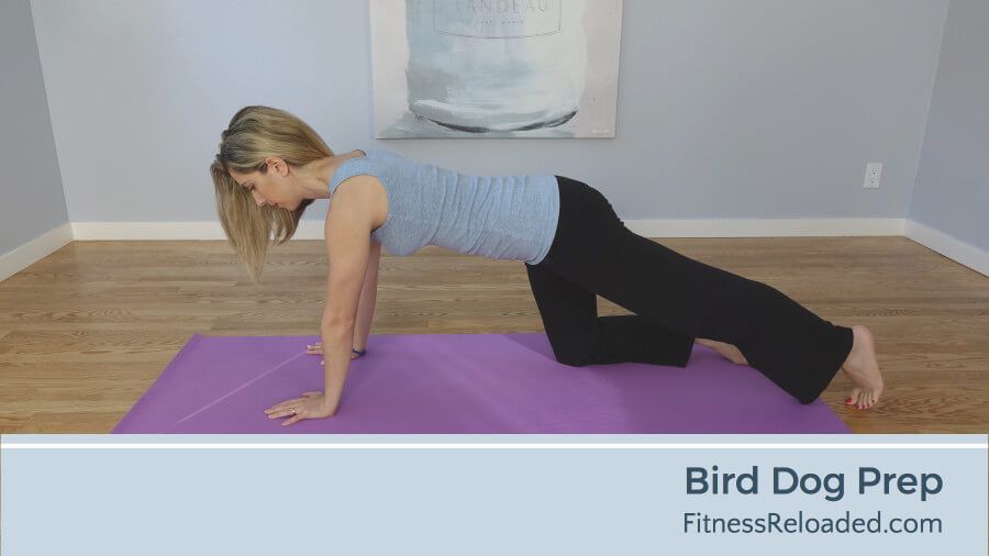 High bird dog plank exercise instructions and video