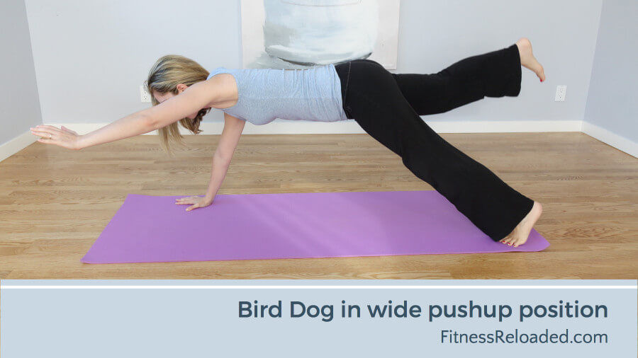 bird dog exercise in wide pushup position
