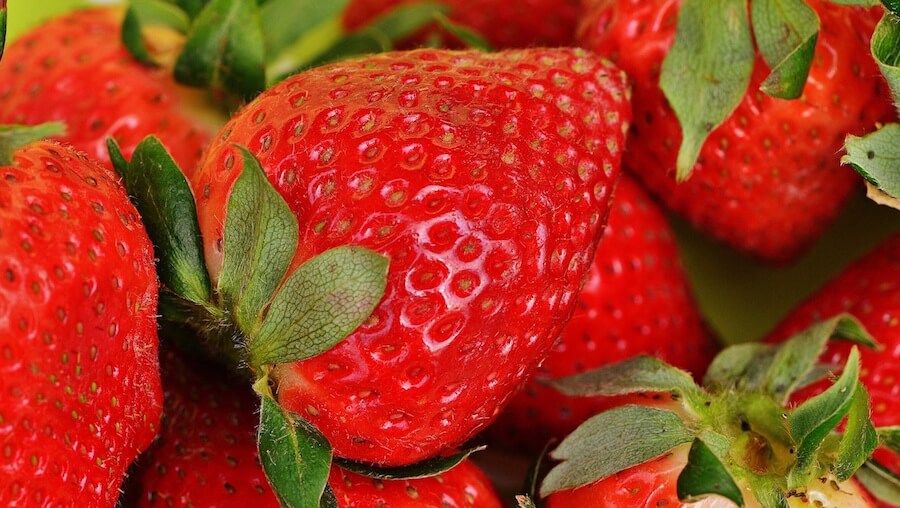 organic strawberries vs conventional strawberries